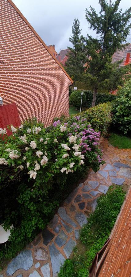 Casa Cercedilla Montana Esqui Villa Eksteriør billede