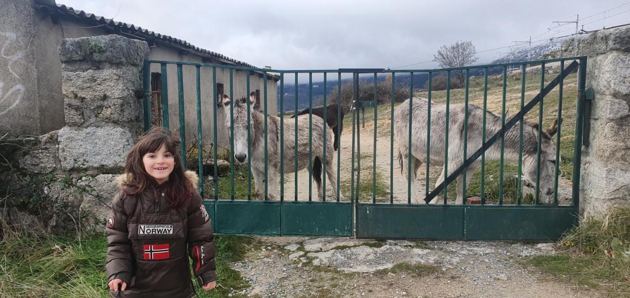 Casa Cercedilla Montana Esqui Villa Eksteriør billede